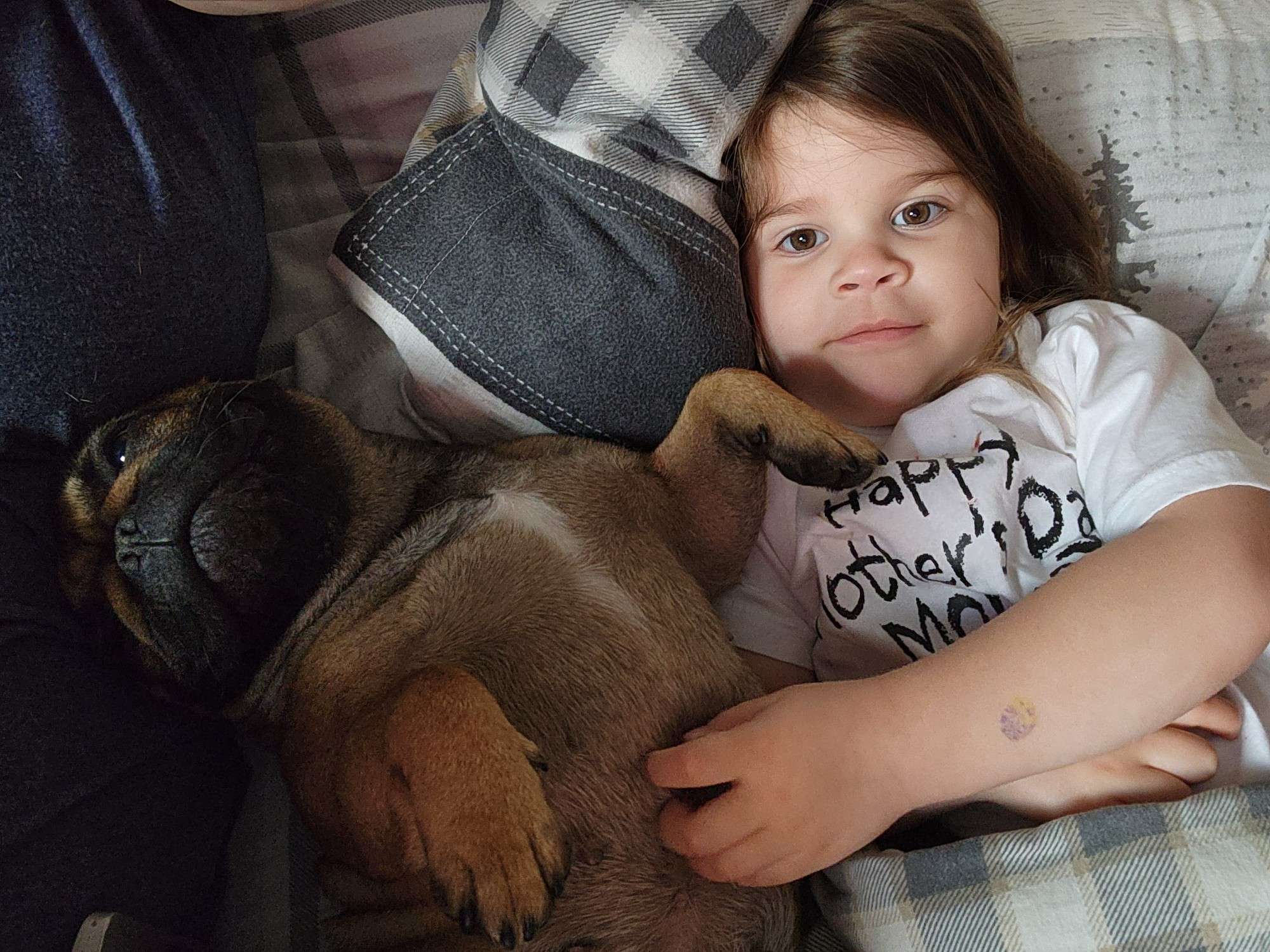 Baby Mac Frenchies