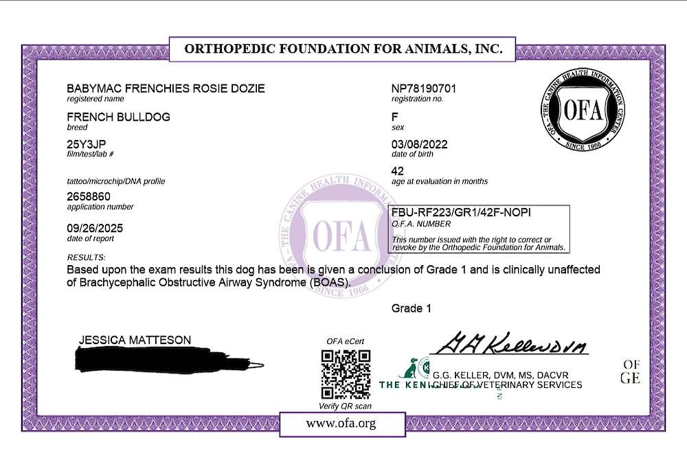 Rosie's BOAS Evaluation